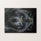 Graue Wolf Waldtiere Wildtiere Natur Nah nachsehen Puzzle (Horizontal)