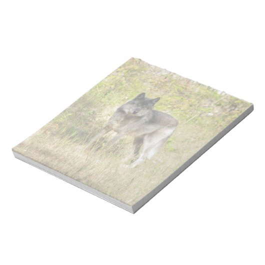 Graue Wolf & Wilderness Foto Geschenke Notizblock (Rotiert)