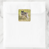 Graue Wolf & Wilderness Foto Geschenke Quadratischer Aufkleber (Tasche)