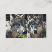 Graue Wölfe in der Wildnis Visitenkarte (Rückseite)