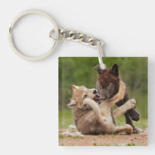 Graue Wolfwelpen ringen Schlüsselanhänger