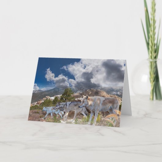 Graue Wolves Familienreise Karte (Vorderseite)