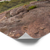 Graue Wolves Familienreise Poster (Ecke)