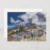 Graue Wolves Familienreise Postkarte (Vorne/Hinten)