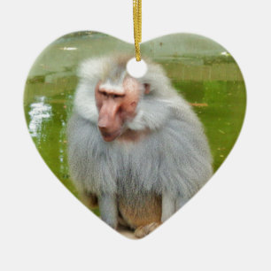 Grauer Affe, Ape Macaque, Natur, Tierwelt Keramikornament