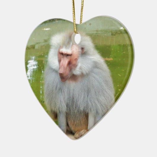 Grauer Affe, Ape Macaque, Natur, Tierwelt Keramikornament (Links)