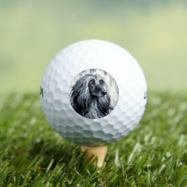 Grauer Afghan Hound Portrait Golfball