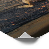 Grauer andalusischer Fahrer am Strand Poster (Ecke)