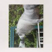 Grauer andalusischer Hengst mit Blick auf Mirror Puzzle (Vertikal)