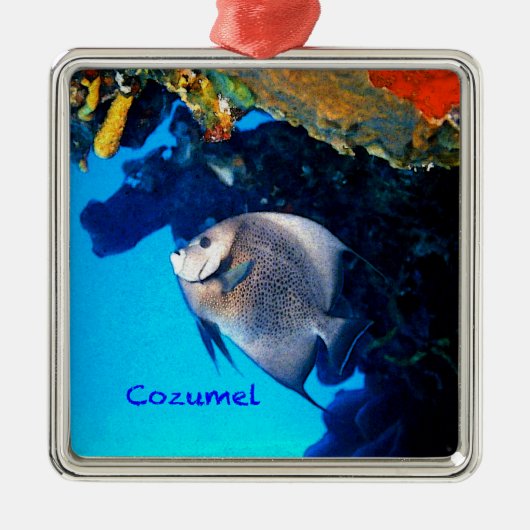Grauer Angelfish Silbernes Ornament (Vorne)