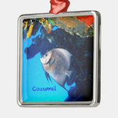 Grauer Angelfish Silbernes Ornament (Links)