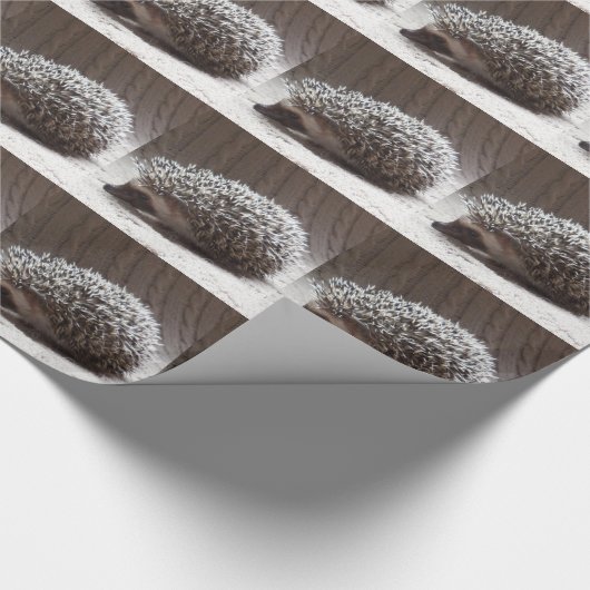 grauer Baby-Igel Geschenkpapier (Ecke)