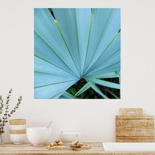 Grauer Bismarck Palm Tree Nah nach Print Poster (Küche)