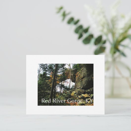 Grauer Bogen, KY Postkarte (Stehend Vorderseite)