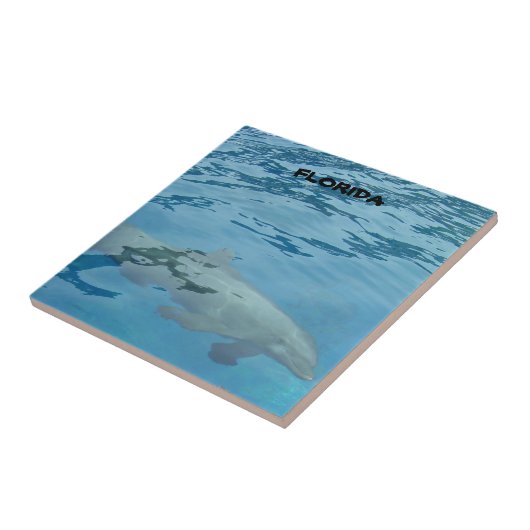 Grauer Delphin schwimmt unter Wasser Fliese (Seite)