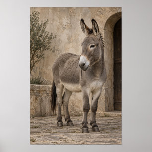 Grauer Esel im rustikalen Steinhof Tierwand Poster