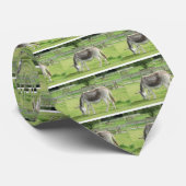 Grauer Esel Krawatte (Gerollt)