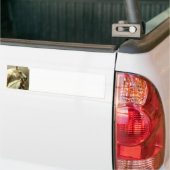 Grauer Eventing PferdeAutoaufkleber Autoaufkleber (Auf Lkw)
