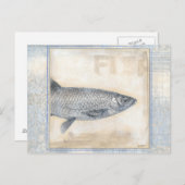 Grauer Fisch auf Beige Hintergrund Postkarte (Vorne/Hinten)