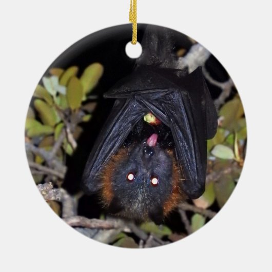 Grauer Flying Fox Keramikornament (Hinten)