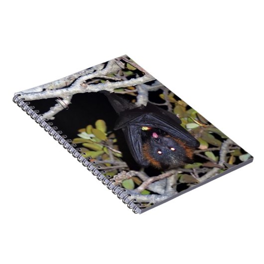 Grauer Flying Fox Notizblock (Rechte Seite)