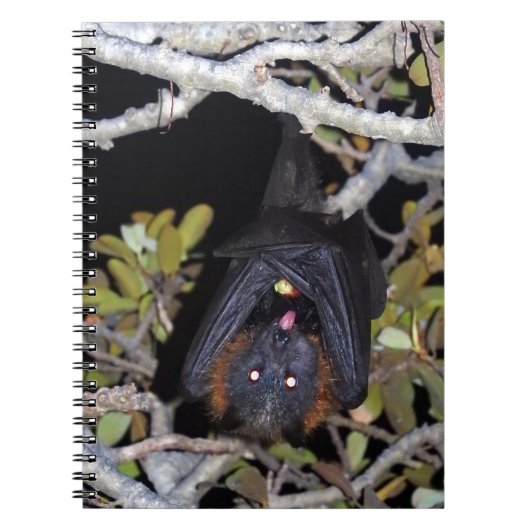 Grauer Flying Fox Notizblock (Vorderseite)