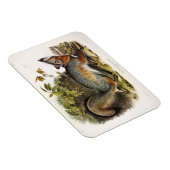Grauer Fox / Grauer Fox Audubon's American Quadrup Magnet (Rechte Seite)