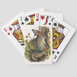 Grauer Fox / Grauer Fox Audubon's American Quadrup Spielkarten