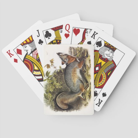 Grauer Fox / Grauer Fox Audubon's American Quadrup Spielkarten (Rückseite)