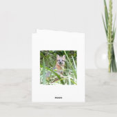 Grauer Fox-Grußkarte Karte (Rückseite)