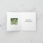 Grauer Fox-Grußkarte Karte (Innenseite)