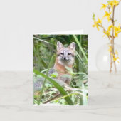 Grauer Fox-Grußkarte Karte (Gelbe Blume)