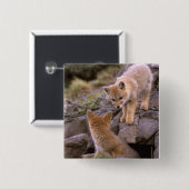 Grauer Fox (Lycalopex griseus) Button (Vorne & Hinten)