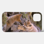 Grauer Fox (Lycalopex griseus) Case-Mate iPhone Hülle (Rückseite (Horizontal))