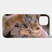 Grauer Fox (Lycalopex griseus) Case-Mate iPhone Hülle (Rückseite (Horizontal))