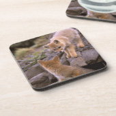 Grauer Fox (Lycalopex griseus) Getränkeuntersetzer (Linke Seite)