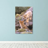 Grauer Fox (Lycalopex griseus) Leinwanddruck (Insitu (Holzboden))