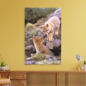 Grauer Fox (Lycalopex griseus) Leinwanddruck (Insitu (Wohnzimmer))