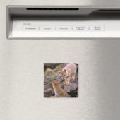 Grauer Fox (Lycalopex griseus) Magnet (In Situ (Geschirrspüler))