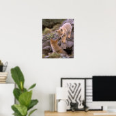 Grauer Fox (Lycalopex griseus) Poster (Heimbüro)
