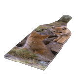 Grauer Fox (Lycalopex griseus) Schneidebrett (Ecke)