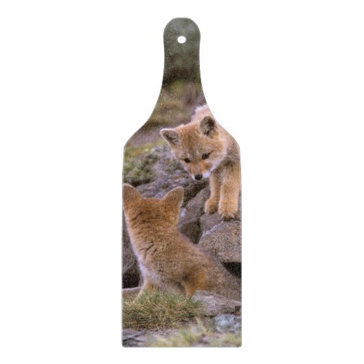 Grauer Fox (Lycalopex griseus) Schneidebrett (Vorderseite)