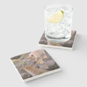 Grauer Fox (Lycalopex griseus) Steinuntersetzer (Seitenansicht)