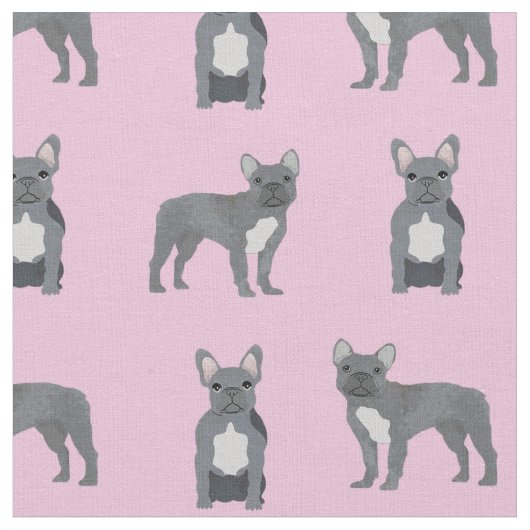 Grauer Französischer Bulldog in Pink Stoff (Nahaufnahme)