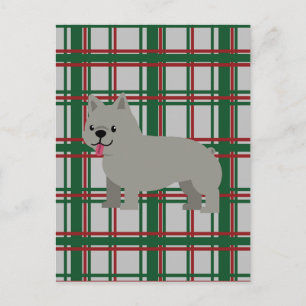 Grauer französischer Bulldog, Weihnachten Kariert Postkarte