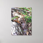 Grauer Frühlingsmörtel auf Leinwand (Vorderseite)