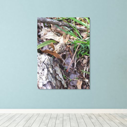 Grauer Frühlingsmörtel auf Leinwand (Insitu (Holzboden))