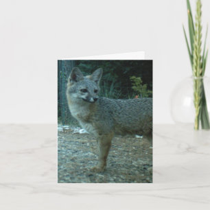 GRAUER FUCHS-RAUM-ANMERKUNGS-KARTE KARTE