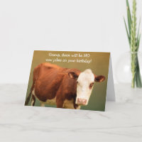 Grauer Funny Cow Geburtstagkarte