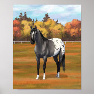 Grauer Grulla-Appaloosa-Quarter-Horse-Hengst Poster